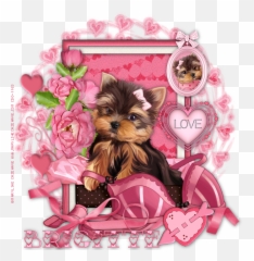 Yorkie Puppy Teacup - Rose Png,Yorkie Png
