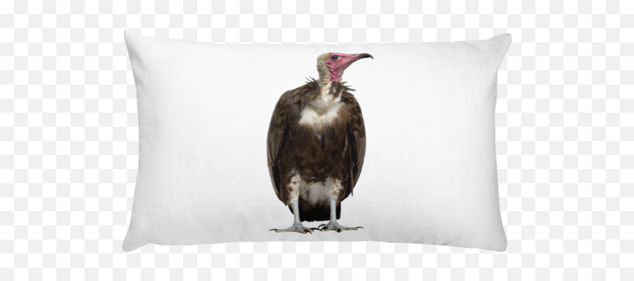 Vulture Print Rectangular Pillow - Eye And Wink Svg Png,Vulture Transparent