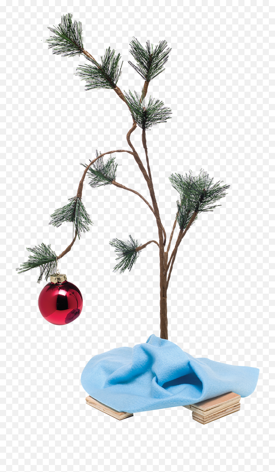 Pin - Christmas Day Png,Charlie Brown Christmas Tree Png
