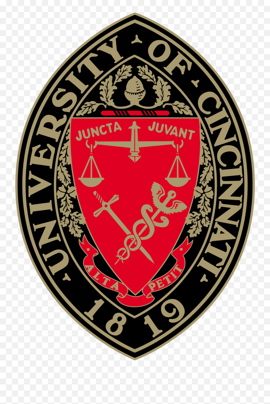 University Of Cincinnati - Logo University Of Cincinnati Png,University Of Toledo Logos