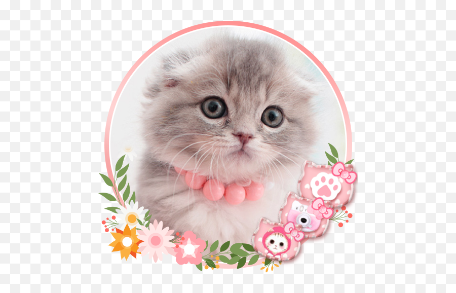 Cute Cat Live Launcher Theme 3d Wallpapers - Apps On Google Play Cute Wallpaper Kucing Kartun Pink Png,Cute Kawaii Shelf Icon Wallpappers