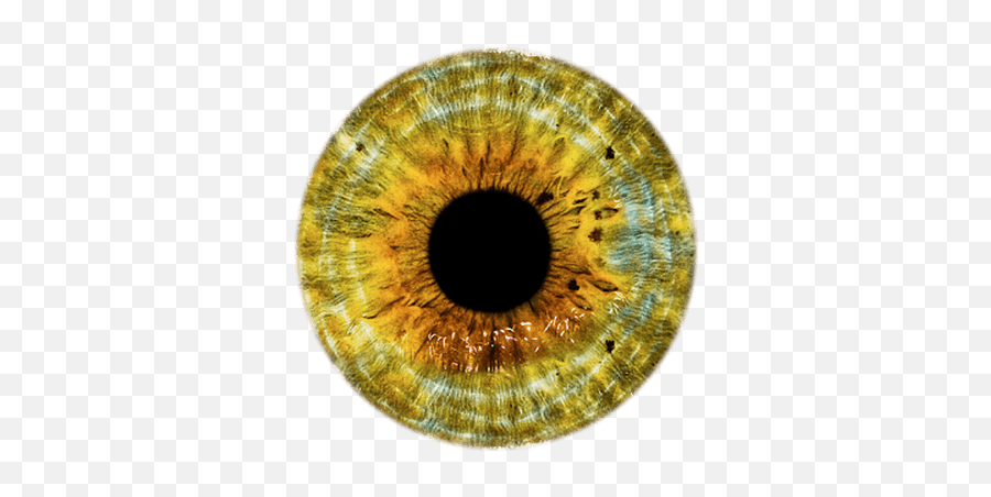 Eye Brown Yellow Transparent Png - Gray Eye Lens Png,Ojos Png