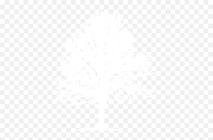 White Tree 24 Icon - Free White Tree Icons Icons Trees White Png,Tree Icon Vector Free