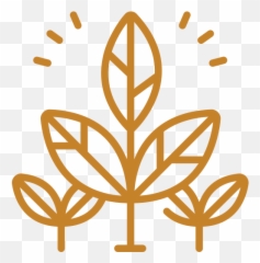 About Us U2014 Tirzah International - Evapotranspiration Icon png