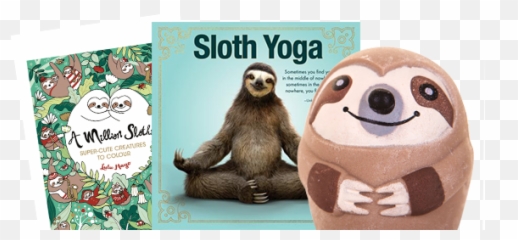 Super Sloth Ranges Boxer Gifts Wholesale - Inspirational Sloth Quotes Png,Sloth Png