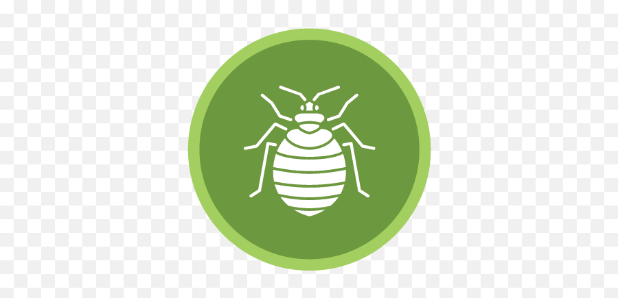 Green Pest Services U2014 Control With Guys Png Round Bed Icon