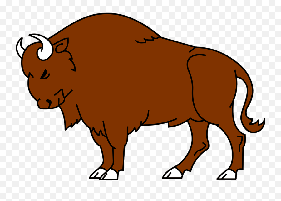 Bison Animal Wild - Bison Clip Art Png,Bison Png