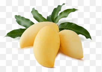 Nam Dok Mai Mango Png - Mango Namdokmai,Mango Png