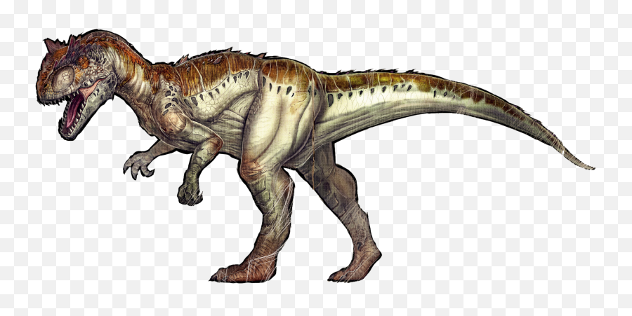 White Allosaurus Survival Evolved - Ark Survival Evolved Carnotaurus Png,Ark Survival Evolved Png