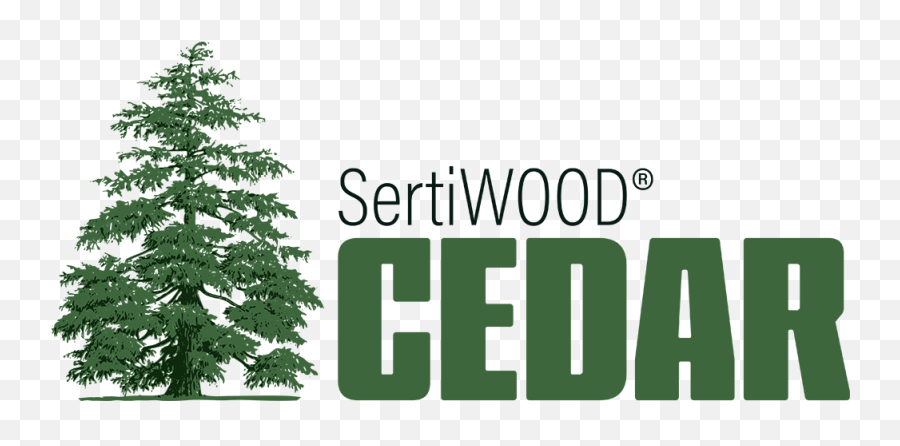 Western Red Cedar Alternative - Deodar Or Himalayan Cedar Png,Cedar Tree Png