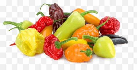 Hotness Of Peppers Chart - Bayota Mixed Hot Peppers png
