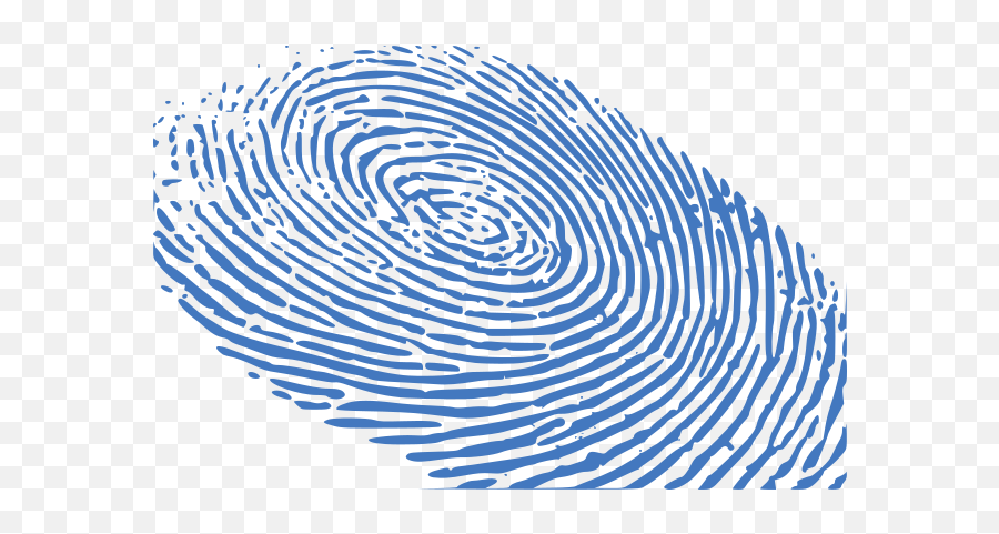 Finger Print Services We Offer - Fingerprint Png Blue Image Identity Theft,Finger Print Png