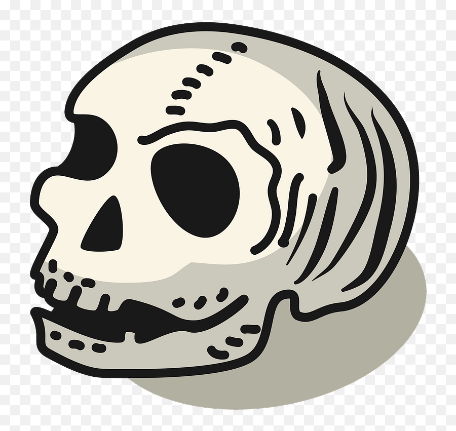 Human Skull Clipart Free Download Transparent Png Creazilla - Skull,Human Skull Png