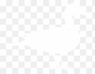 Ducks Png 1 Image - Duck White Png,Ducks Png