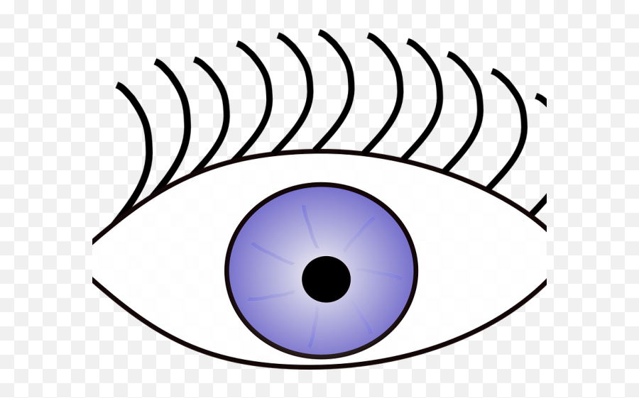 Eye Clipart Sense - Sense Of Sight Png Transparent Png Eye Clip Art,Eye Clipart Transparent