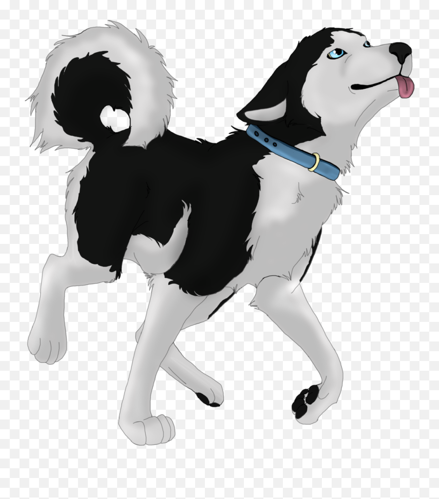 Husky Png - Husky Clipart,Husky Transparent Background