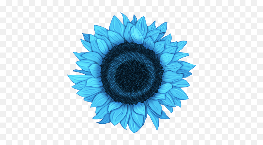 Download Flower Art Flowers Fall Is Here Views Album - Common Sunflower Png,Fall Flowers Png