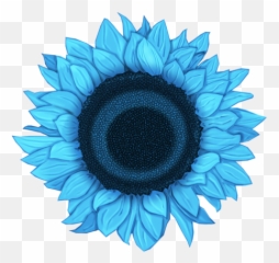 Download Flower Art Flowers Fall Is Here Views Album - Common Sunflower Png,Fall Flowers Png
