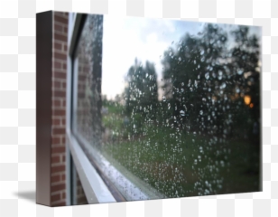 Rain - Daylighting Png,Rain On Window Png