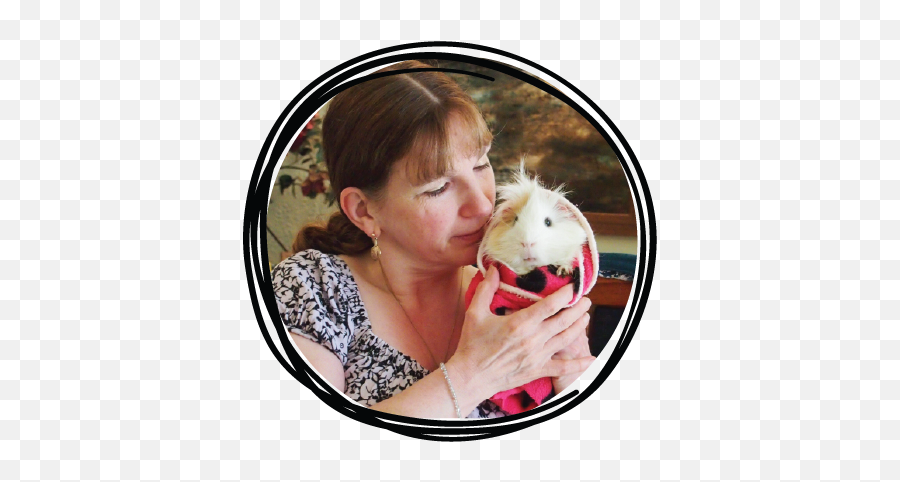 Our Team Guinea Pig Magazine - Hamster Png,Guinea Pig Png