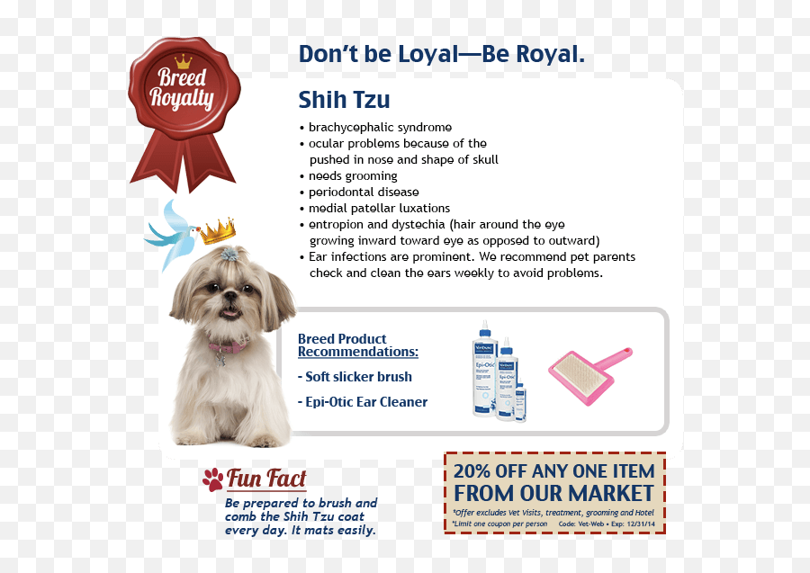 Shih Tzu - Royal Pets Market U0026 Resort Dog Supply Png,Shih Tzu Png