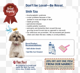 Shih Tzu - Royal Pets Market U0026 Resort Dog Supply Png,Shih Tzu Png