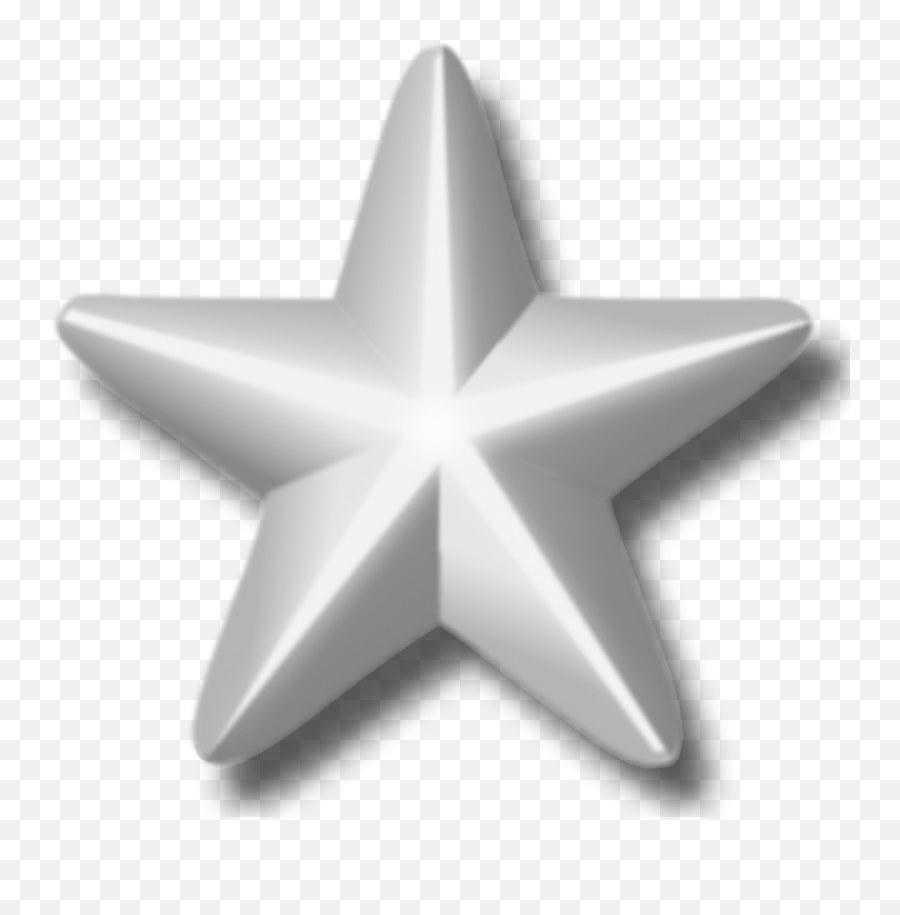 Service Star Silver - Silver Stars Png Transparent,Star Png Image