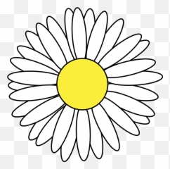 Daisy Svg Flower Vector - Margarita Png