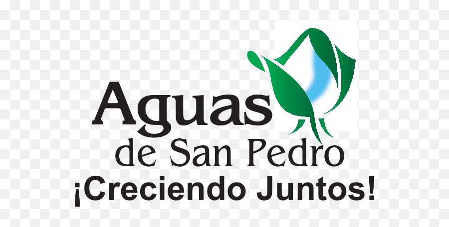 Logo - Ibirapuera Park Png,Icon San Pedro