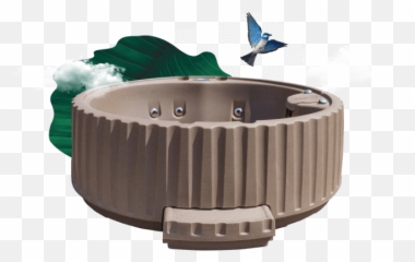 Spa - Ô InnovaSpa Bird png