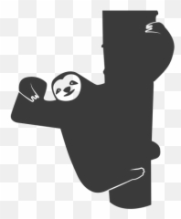 Sloth Branch Tree Claw Silhouette - Transparent Png U0026 Svg Sloth Silhouette Png,Sloth Png