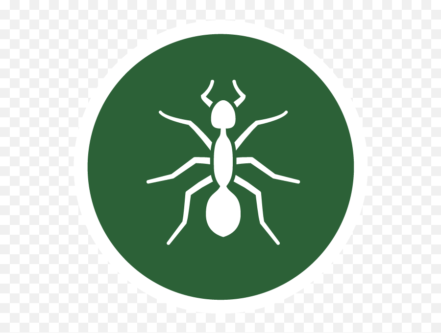 Maineu0027s Best Choice Pest Management - Exterminator U0026 Pest Png,Ant Icon