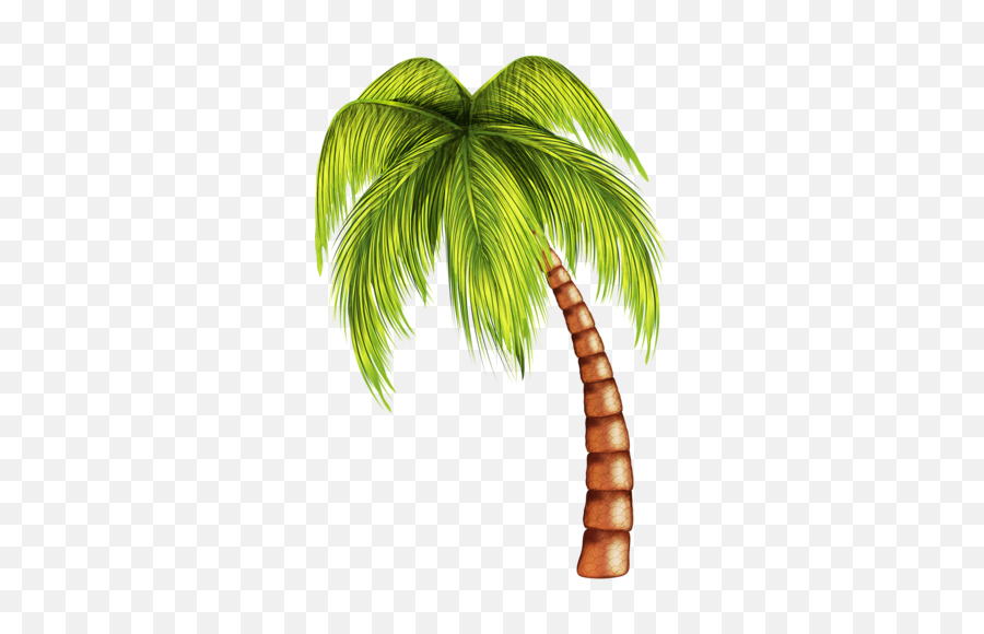 Download Pin Palm Tree Clip Art Png - Cartoon Beach Coconut Tree,Beach Clipart Transparent Background