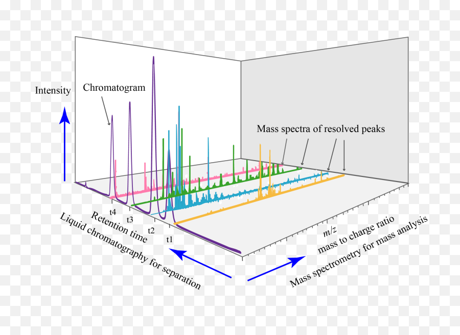Liquid Chromatography Ms Spectrum - Liquid Chromatography Mass Spectrometry Png,Analysis Png
