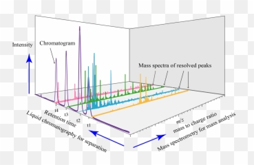 Liquid Chromatography Ms Spectrum - Liquid Chromatography Mass Spectrometry Png,Analysis Png