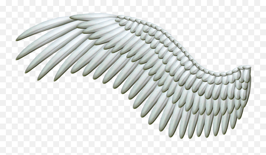 White Angel Wings Png 36438 - Free Icons And Png Backgrounds Angel Wing Png,Wing Png