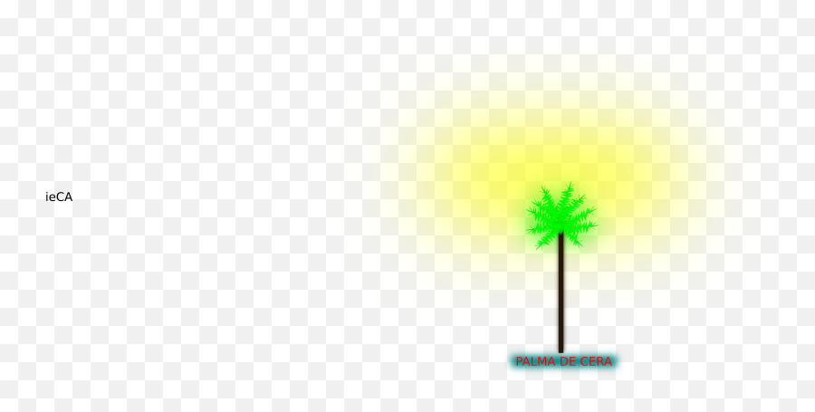 Download Free Png Palma De Cera - Dlpngcom Tree,Palma Png