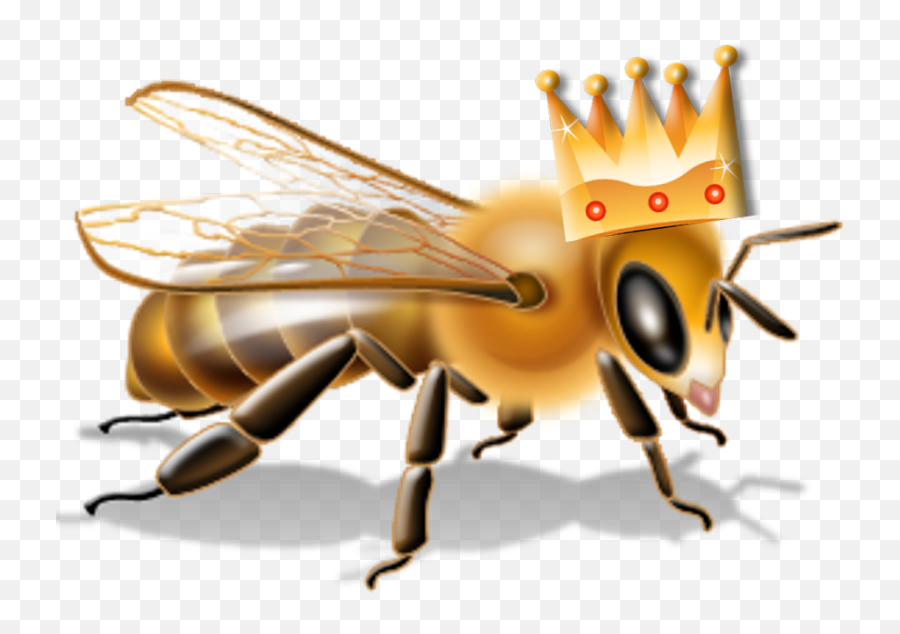 Bee Transparent Png - Picture Royalty Free Transparent Bees Pesticide Label Bee Hazards,Transparent Bees