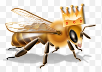 Bee Transparent Png - Picture Royalty Free Transparent Bees Pesticide Label Hazards