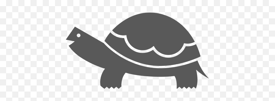 Tortoise Vector Transparent Picture 1500252 - Transparent Background Turtle Icon Png,Tortoise Png