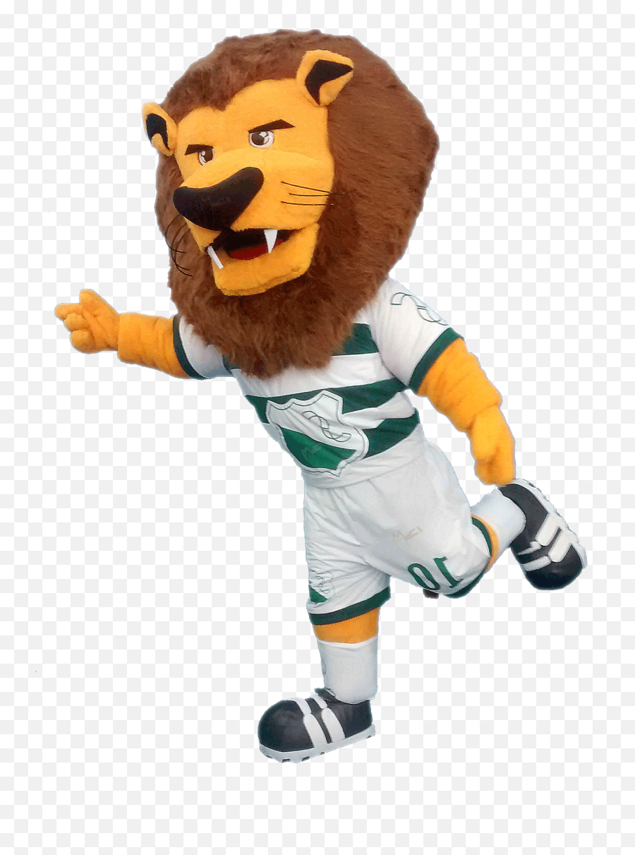 Custom Made Mascots Mascot Costumes Ib - Teddy Bear Png,Lion Mascot Logo