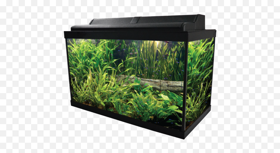 Fish Tank Transparent Png Clipart - Aquarium,Fish Tank Png
