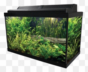 Fish Tank Transparent Png Clipart - Aquarium,Fish Tank Png