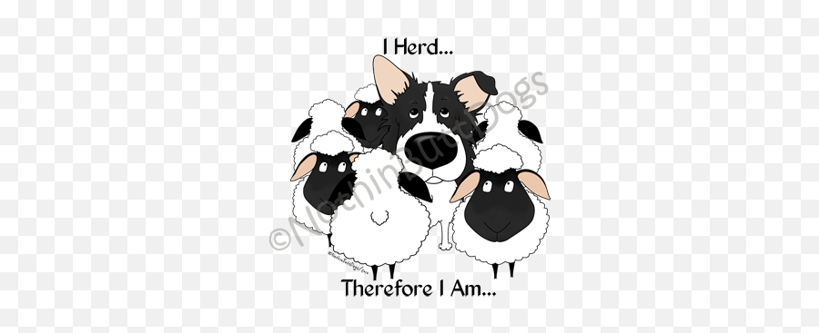 Border Collie I Herd Light Colored T - Shirts Animated Border Collies And Sheeps Png,Border Collie Png