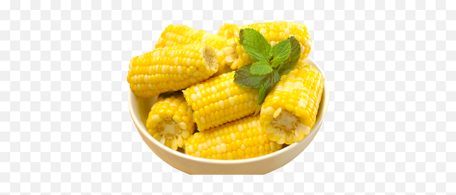 Corn Png And Vectors For Free Download - Hd Corn,Corn Stalk Png