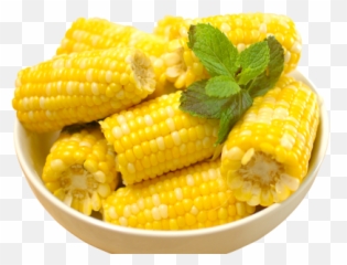 Corn Png And Vectors For Free Download - Hd