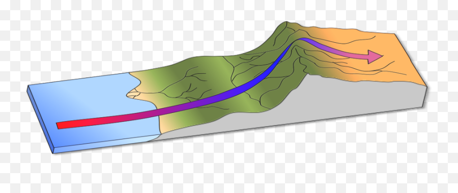 Rain Shadow Effect Caused - Tree Png,Rain Effect Png