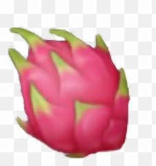 Download Fruit Fruits Pink Green Dragon Nature Emoji - Dragon Fruit Emoji Transparent Background Png,Dragon Fruit Png