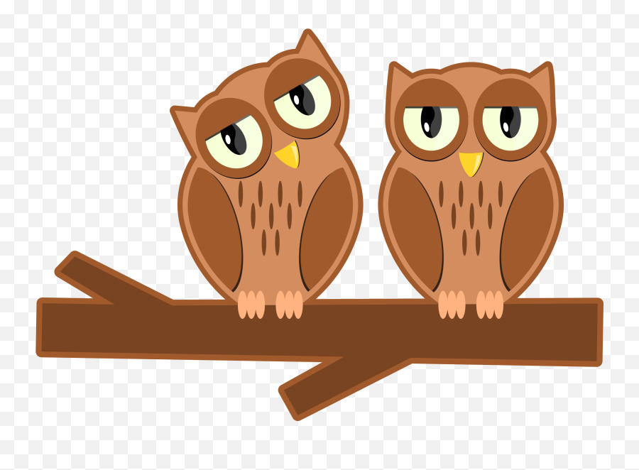 Download Hd Big Image - Orange Owl On Branch Clipart Owl On A Bracnh Cartoon Png,Branch Clipart Png