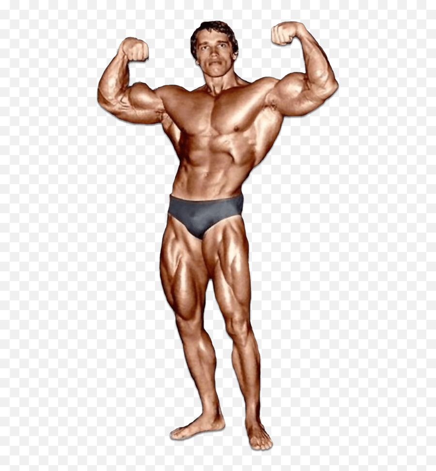 Arnold Schwarzenegger - Arnold Schwarzenegger Bodybuilding Png,Arnold Schwarzenegger Png